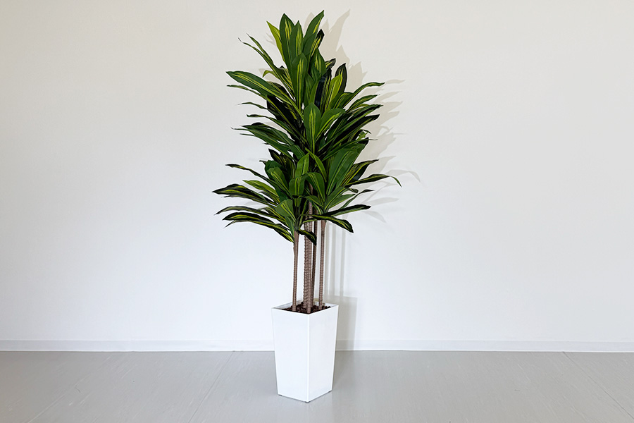 フェイク観葉植物